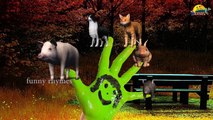 3D детские Finger семья Рифмуется | 3D Коллекция животных видео стишки