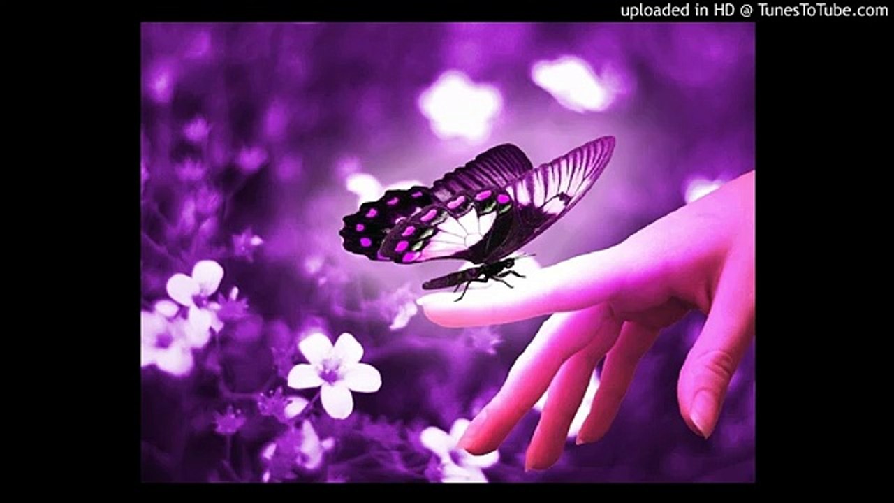 Ehsan Sehgal Prose Poem-The Butterflies