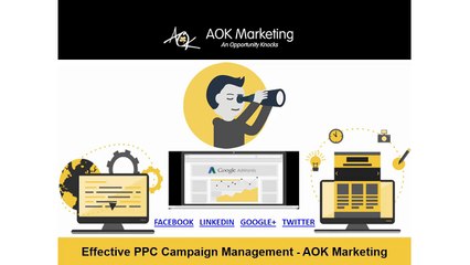 Effective PPC Campaign Management - AOK Marketing