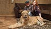 ‘We Live With 220 Lions And Tigers': BEAST BUDDIES