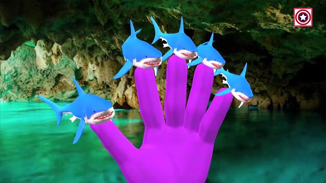 Sharks Vs Dinosaurs Attack & Battle Short Movie | Dinosaur Cartoon Finger Family Nursery Rhymes Kids