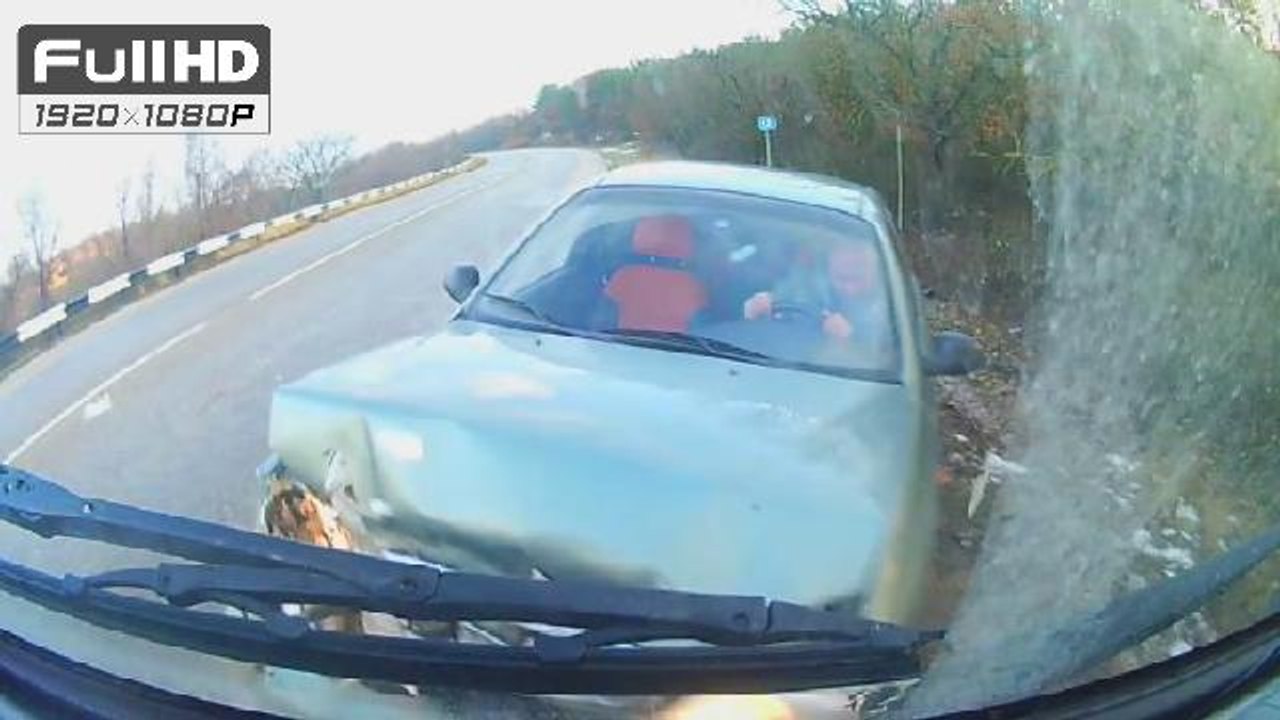 Compilation de crash et accidents de Voitures n°397 en HD | Car Crashes Compilation & Accidents