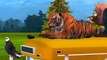 Animals Train Songs For Children And Wheels On The Bus Go Round And Round Children Nursery Rhymes