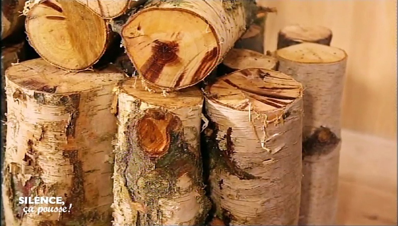 Faire un sapin avec des rondins de bois