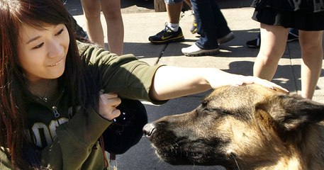 Chinese girl fun with a cute dog