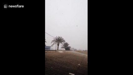 Snow falls on palm trees in Spain's Costa Blanca