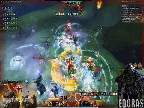 Gw2 WvW Raid NstG 19 janvier 2017