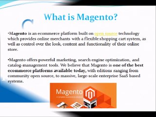Hire Magento Developer