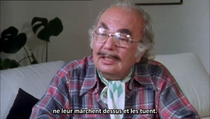 DW Origins: Discover the Brand's Roots