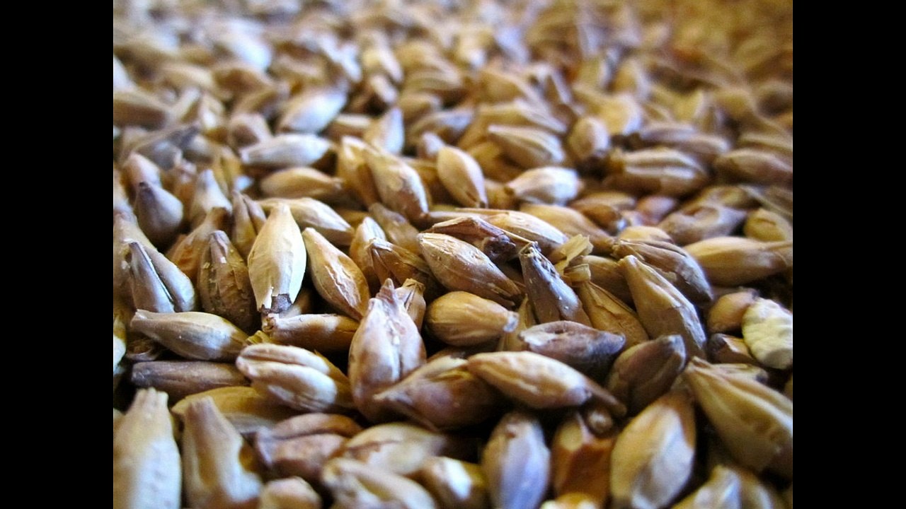 Micro-Brasserie de l'Attrait