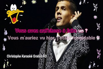 Stromae - Formidable KARAOKE / INSTRUMENTAL