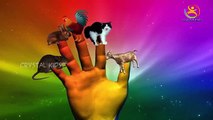 Finger family 3d rhymes | kids songs | Hen Duck | 3d Animals songs