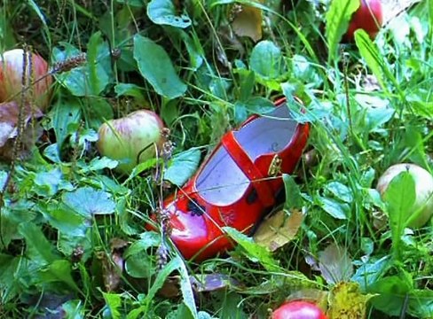 Ералаш (153 выпуск)