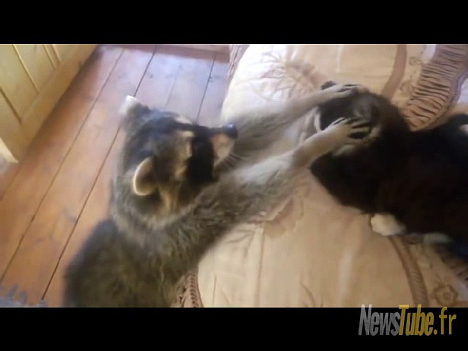 Moustaches, je t'aime tellement !