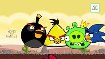 Finger Family Nursery Rhyme - Angry Birds Cartoon Finger Family Rhymes - Children Songs