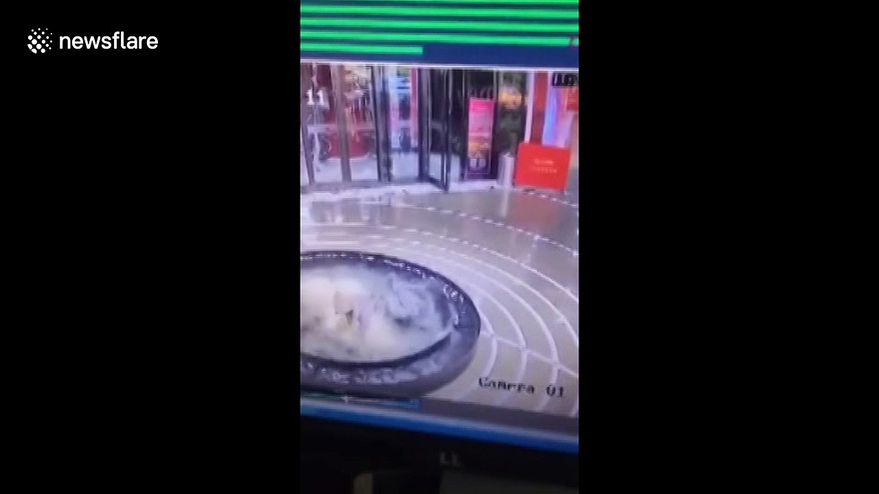 Woman looking at her phone falls into mall fountain pool