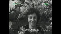 Valeria Colojoara - Mai badita floare dulce - Arhiva