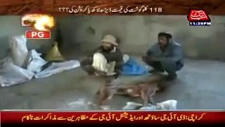 kuttay ka ghost (DOG MEAT) karachi ki markets main kholy am sale ho raha hai video ma daikhy