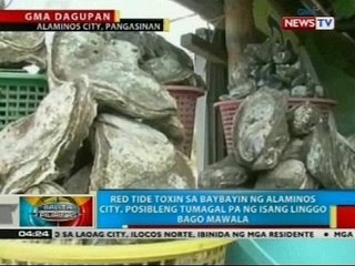 Bentahan ng bagoong at alamang sa Lingayen, Pangasinan, apektado ng nakataas pa ring red tide alert