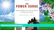 READ book The Power Surge: Energy, Opportunity, and the Battle for America s Future Michael Levi