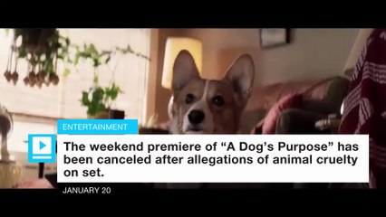 'A Dog's Purpose' LA premiere canceled amid allegations of animal cruelty