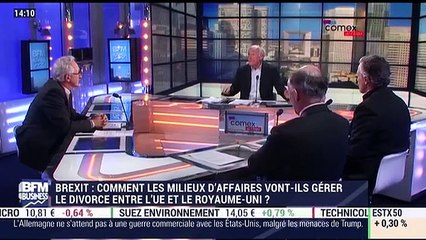 Brexit: Comment les milieux d'affaires vont-ils gérer le divorce entre l'UE et le Royaume-Uni ? - 20/01