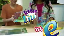 Moose Toys Little Live Pets New Frogs TV Toys