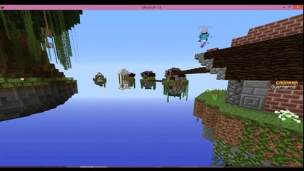 HackerNuevos -- MinecraftSurvival