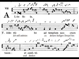 Alleluia Adorabo, Dominica IV TpA (4 TO)