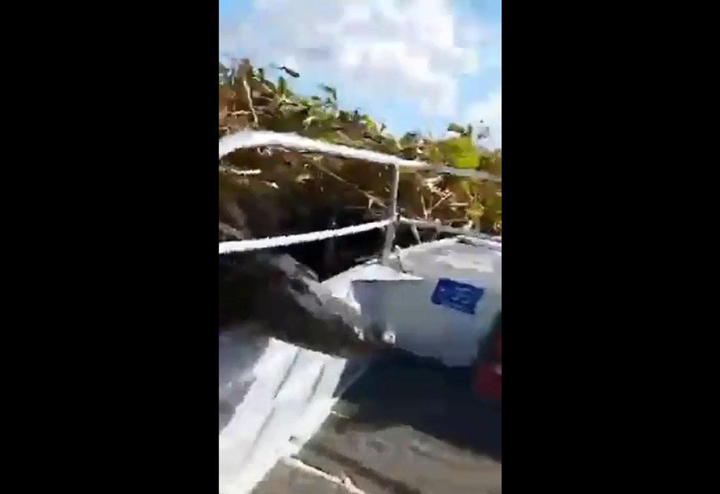 Un crocodile monte sur un bateau de touriste.
