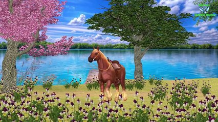#Horse #Lion English Nursery Rhymes || Popular Nursery Rhymes For Cartoon Children Rhymes