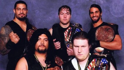 WWE WRESTLERS | 20 Most Bizarre Fan Photos