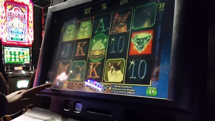 Its Not Just a Slot Channel! Kitty Glitter !!BONUS!!!