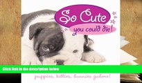 PDF [DOWNLOAD] So Cute You Could Die!: Puppies, Kittens, Bunnies Galore! [DOWNLOAD] ONLINE