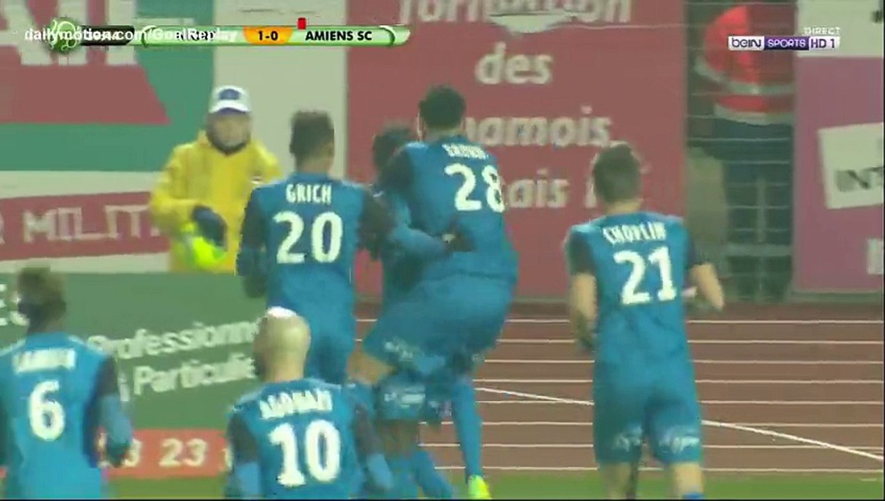 Dona Ndoh Goal HD - Niort 2 - 0 Amiens - 20.01.2017 [HD]