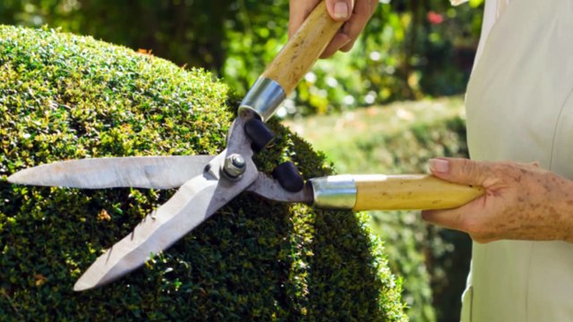 Big foot Landscaping and Maintenance - (406) 559-3054