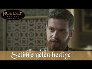 Şehzade Selim'e Gelen Hediye - Muhteşem Yüzyıl 131.Bölüm