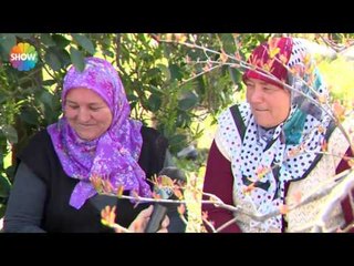 Turgay Başyayla ile Lezzet Yolculuğu 60.Bölüm "Antalya"