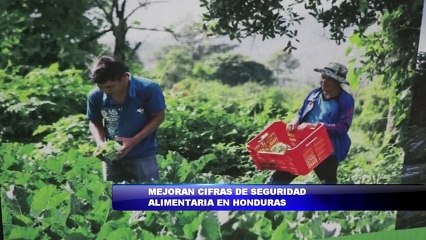 Mejoran cifras de seguridad alimentaria en Honduras