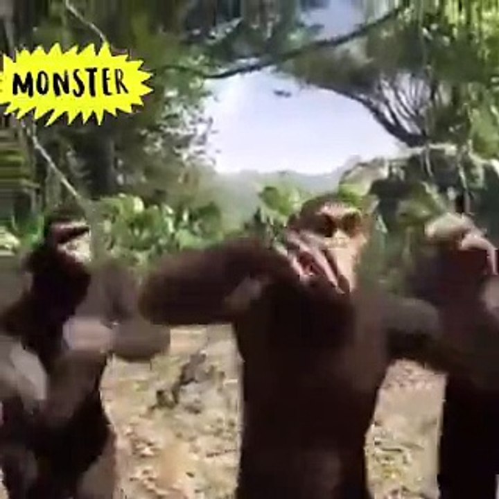 DANÇA DO MOMENTOS