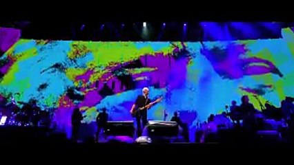 Roger Waters Mexico Show Pigs (Donald Trump)