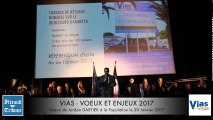 VIAS - VOEUX et ENJEUX 2017