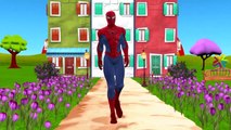 Spiderman Cartoon Finger Family Rhymes And Ding Dong Bell Nursery Rhymes For Children
