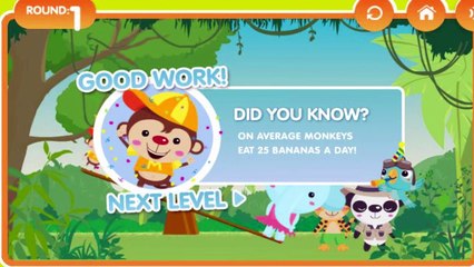 Jungle Banana Bounce Game - Jungle Banana Bounce