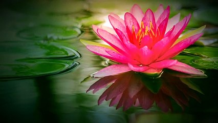 Meri Yaad Rakhna - Instrumental ... - YouTube_2