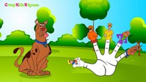 Scooby Doo and Friends Finger Family Children Nursery Rhymes Daddy Finger Family Rhymes HD