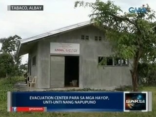 Saksi: Evacuation center sa Albay para sa mga hayop, unti-unti nang napupuno