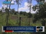 Saksi: Halos 200 ektaryang bukirin sa Palayan City, pag-aari rin umano ni PNP Chief Alan Purisima
