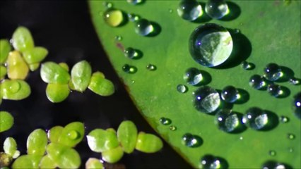 【Healing Cafe】 優しく慈しむピアノ曲 #28  「氷雨」 Gently Cherishing Piano Music "Ice Rain"