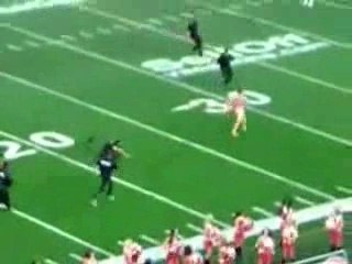 Streakers vs security